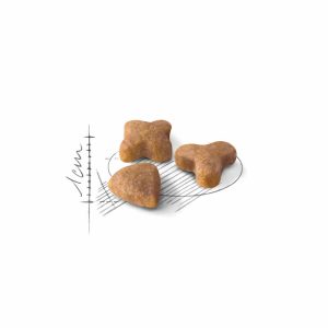 غذای خشک گربه رویال کنین مدل Sensible درمان مشکلات گوارشی 2 کیلوگرم