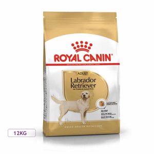 غذای خشک سگ بالغ رویال کنین مدل Labrador Retriever Adult نژاد لابرادور رتریور