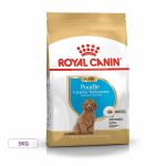 غذای خشک توله سگ رویال کنین مدل Poodle Puppy نژاد پودل