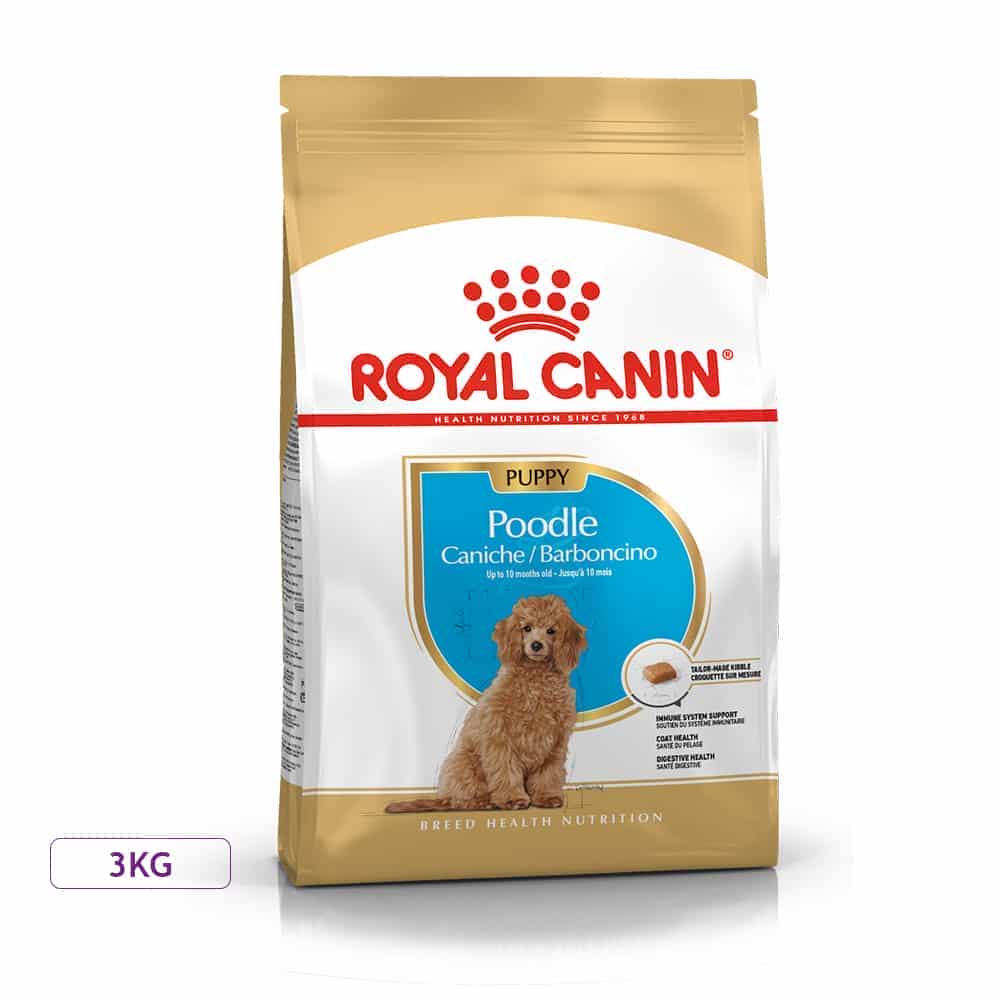 غذای خشک توله سگ رویال کنین مدل Poodle Puppy نژاد پودل