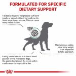 غذای خشک سگ رویال کنین مدل Diabetic درمان مشکلات دیابتی