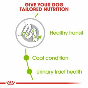 غذای خشک سگ بالغ نژاد خیلی کوچک رویال کنین مدل X-Small Adult وزن 1.5 کیلوگرم