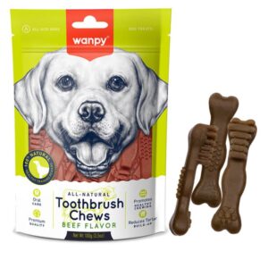 تشویقی سگ ونپی مدل Toothbrush Chews Beef Flavor وزن 100 گرم
