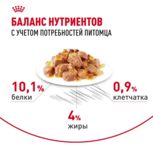 پوچ گربه رویال کنین مناسب پوست و مو مدل Hair & Skin care وزن 85 گرم