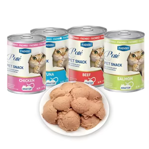 کنسرو گربه فنبی با طعم ماهی تن مدل پته Faenbei Cat Can with Tuna وزن 375 گرم