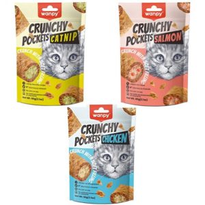 تشویقی گربه ونپی مغزدار Crunchy Pockets salmon طعم سالمون وزن ۶۰ گرم