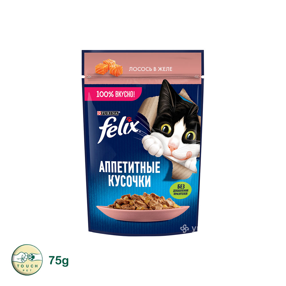 پوچ گربه بالغ فلیکس مدل Felix Salmon in Jelly طعم ماهی سالمون در ژله وزن 75 گرم
